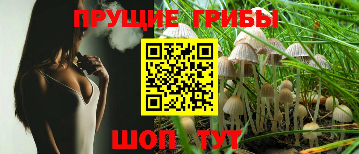 Псилоцибиновые грибы Cubensis  Вход с VPN  Гусь-Хрустальный 